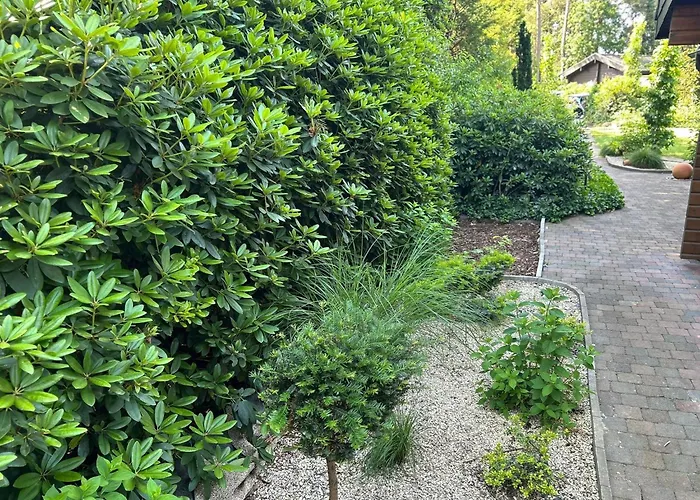 Prázdninový dům Ferienhaus-kaninchenhoehle Haren