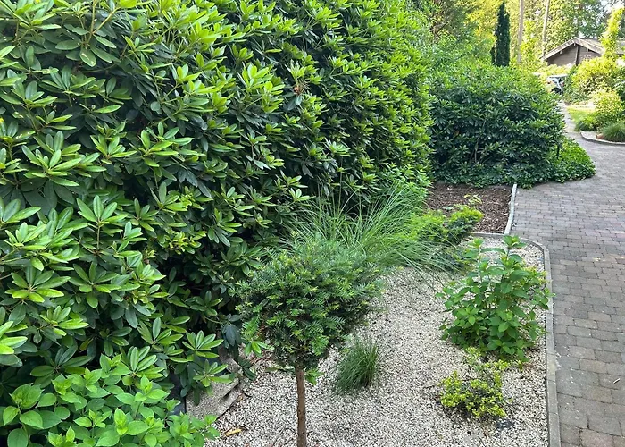 Prázdninový dům Ferienhaus-kaninchenhoehle Haren